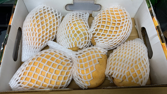 Banginapalli -Case contains 7-8 Large size mangoes