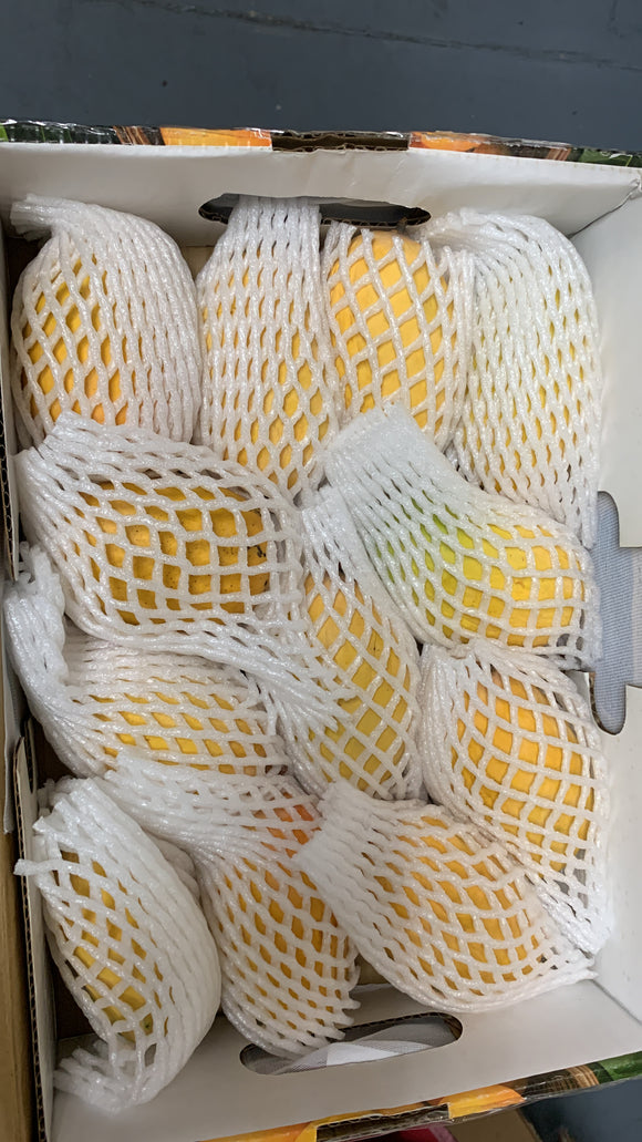 Kesar Indian Mango -(Rasalu) Case contains 10 - 12 size mangoes