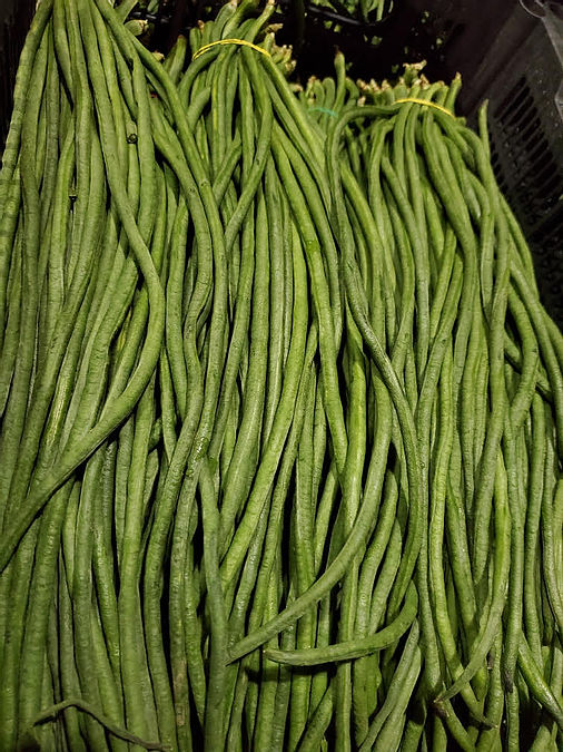 Long Green Beans